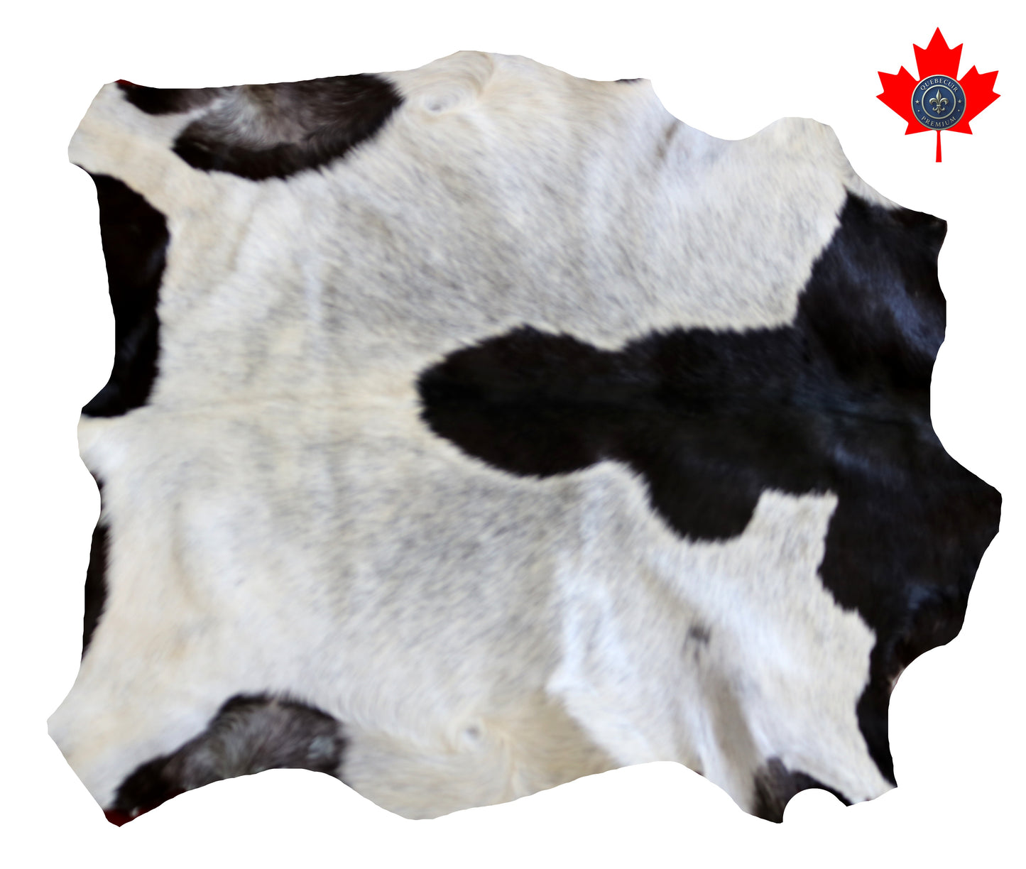 200564 GOAT CHEVRE   Collection Quebecuir Premium