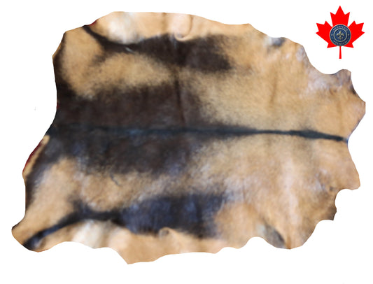 200565 GOAT CHEVRE   Collection Quebecuir Premium