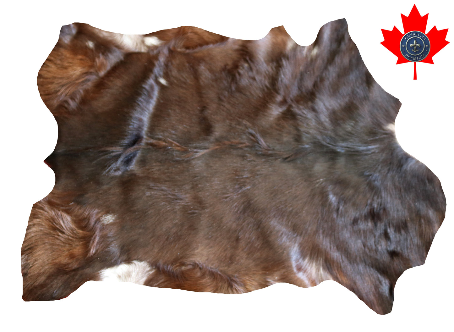 200566 GOAT CHEVRE   Collection Quebecuir Premium