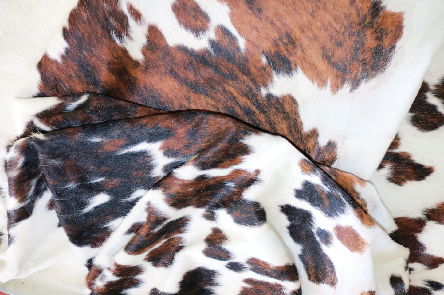 99370  Cowhide rug Collection Quebecuir Premium  TRICOLOR SUPER  BIG SIZE XXXL