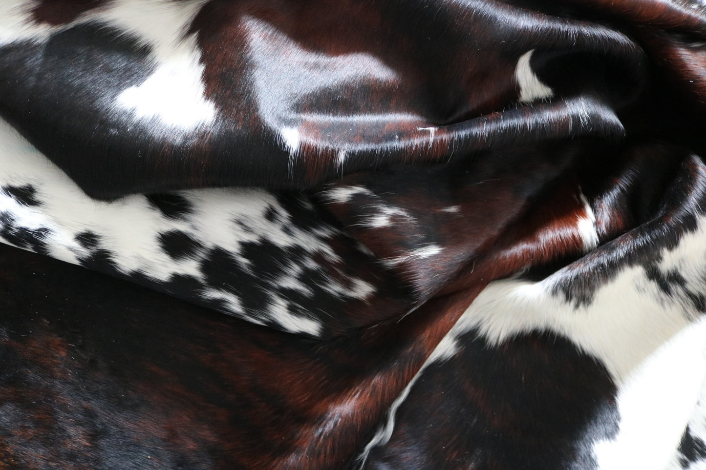 99718 Cowhide rug  TRICOLOR Collection Quebecuir Premium SUPER BIG SIZE XXXL