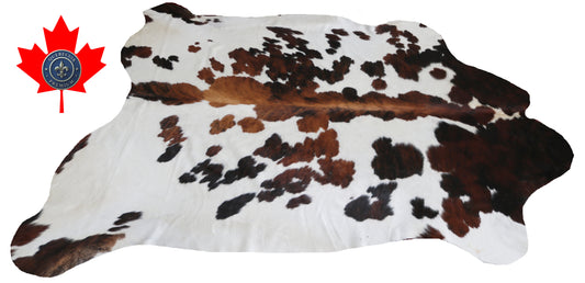 99719 Cowhide rug  TRICOLOR Collection Quebecuir Premium SUPER BIG SIZE XXXL