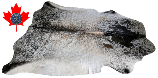 99721 Cowhide rug  TRICOLOR Collection Quebecuir Premium SUPER BIG SIZE XXXL