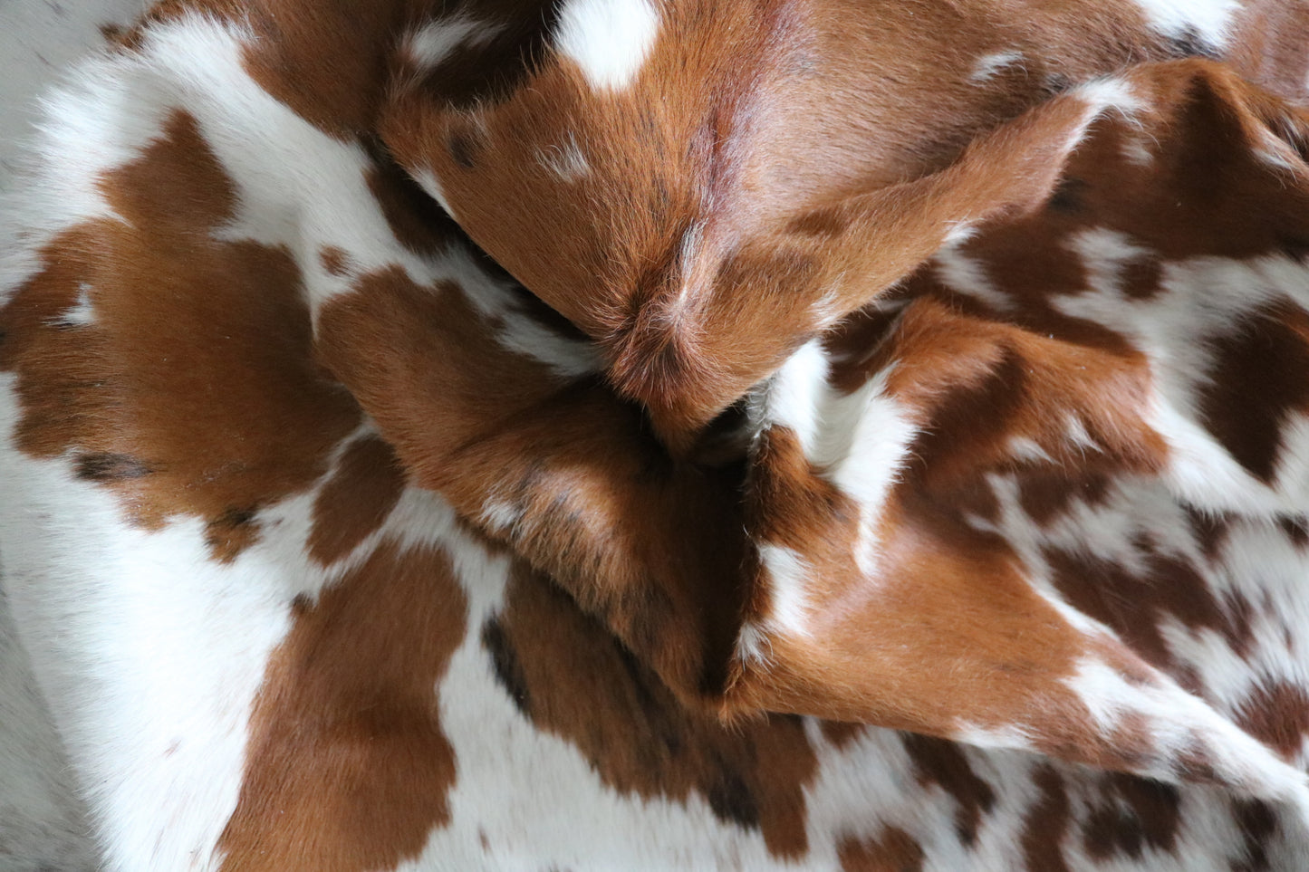 99726 Cowhide rug  TRICOLOR Collection Quebecuir Premium