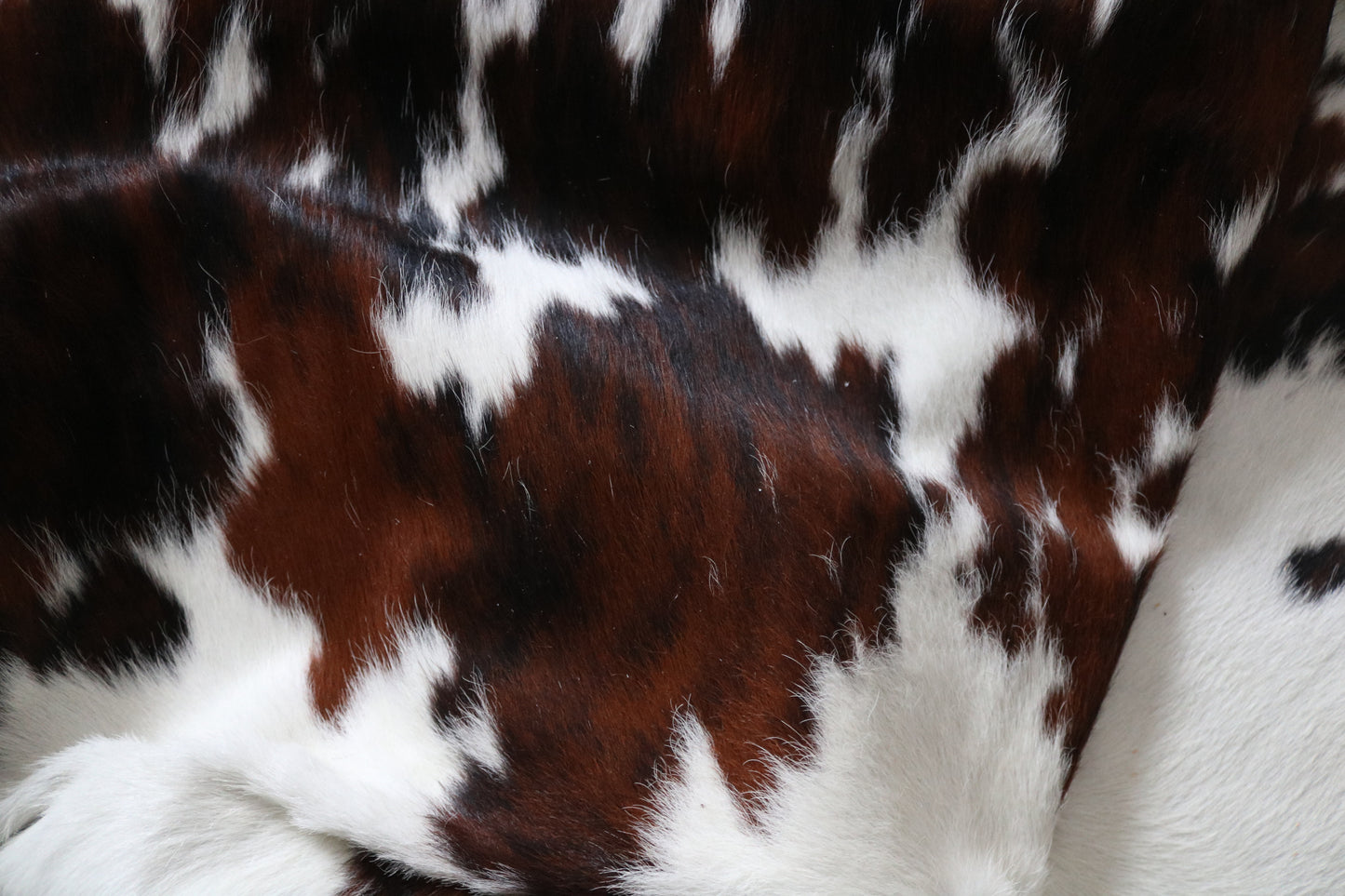 99727 Cowhide rug  TRICOLOR Collection Quebecuir Premium