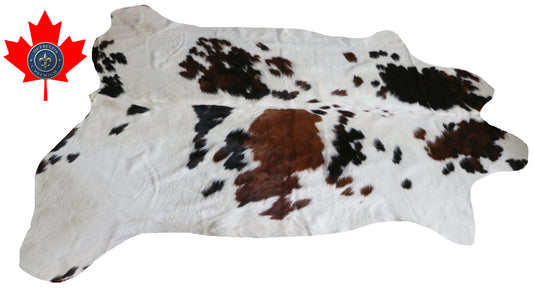 99728 Cowhide rug  TRICOLOR Collection Quebecuir Premium