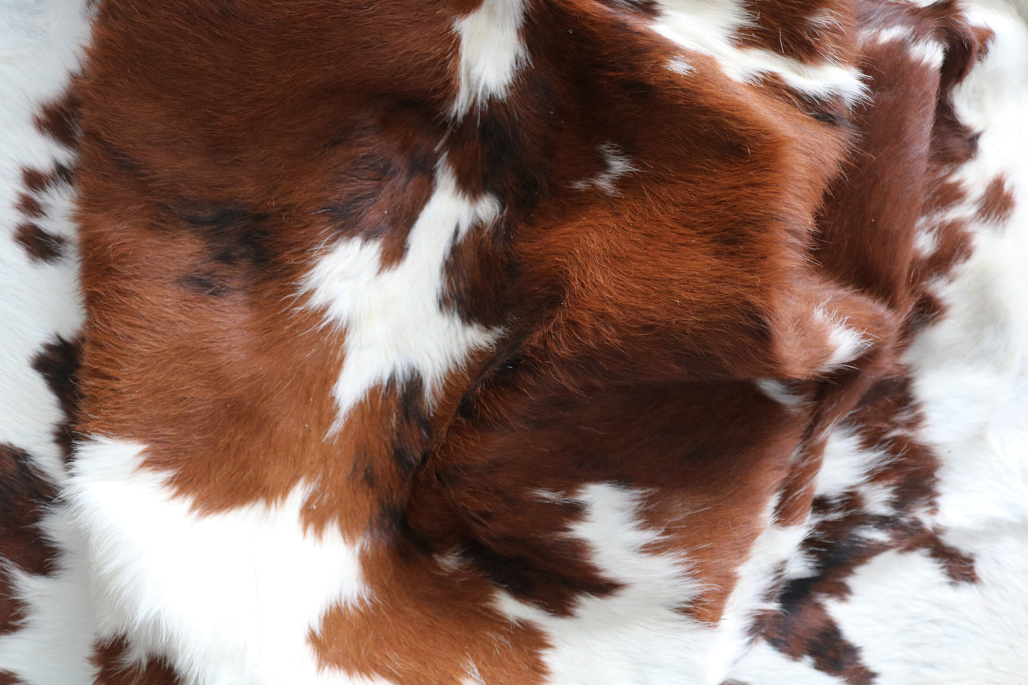 99730 Cowhide rug  TRICOLOR Collection Quebecuir Premium
