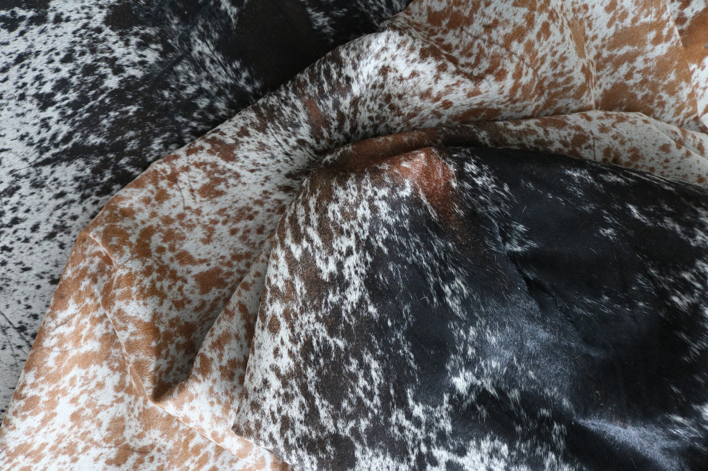 99731 Cowhide rug  TRICOLOR Collection Quebecuir Premium SUPER BIG SIZE XXXL