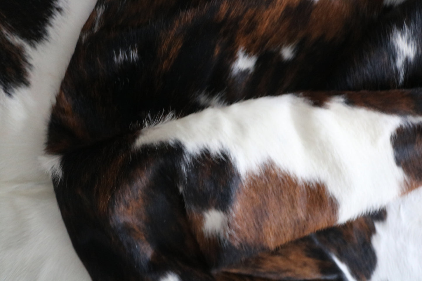 99746 Cowhide rug  TRICOLOR Collection Quebecuir Premium