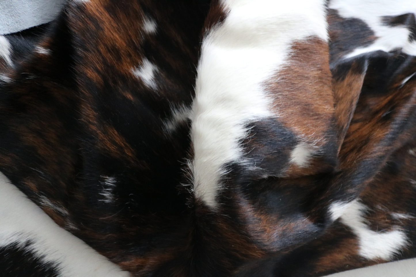 99746 Cowhide rug  TRICOLOR Collection Quebecuir Premium