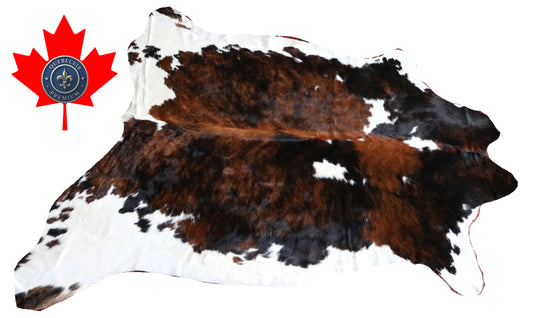 99748 Cowhide rug  TRICOLOR Collection Quebecuir Premium