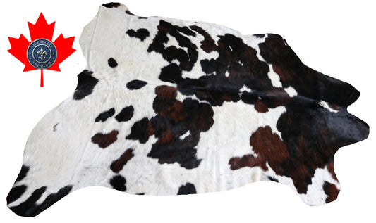 99749 Cowhide rug  TRICOLOR Collection Quebecuir Premium