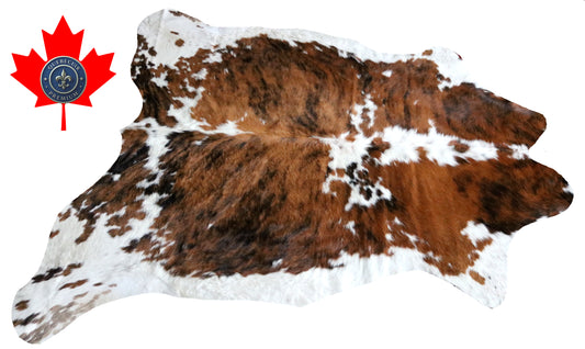 99755 Cowhide rug  TRICOLOR Collection Quebecuir Premium