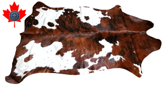 99763 Cowhide rug  TRICOLOR Collection Quebecuir Premium