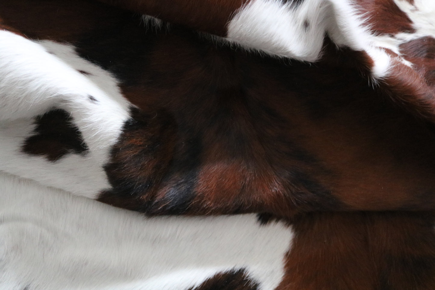 99763 Cowhide rug  TRICOLOR Collection Quebecuir Premium