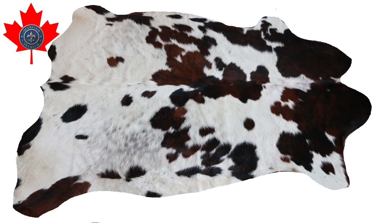 99770 Cowhide rug  TRICOLOR Collection Quebecuir Premium