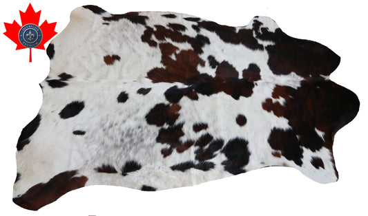 99770 Cowhide rug  TRICOLOR Collection Quebecuir Premium