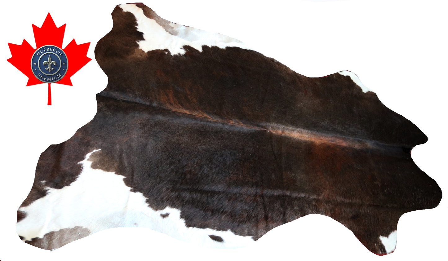 99771 Cowhide rug  TRICOLOR Collection Quebecuir Premium