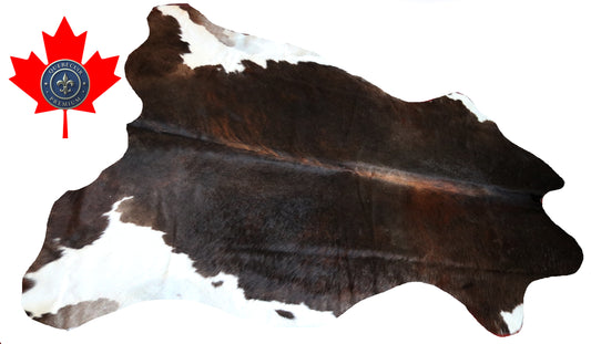 99771 Cowhide rug  TRICOLOR Collection Quebecuir Premium