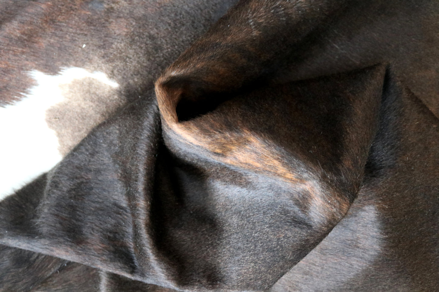 99771 Cowhide rug  TRICOLOR Collection Quebecuir Premium