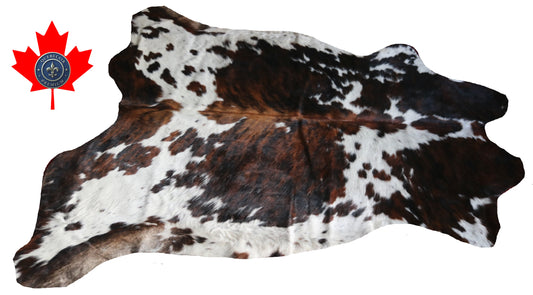 99774 Cowhide rug  TRICOLOR Collection Quebecuir Premium
