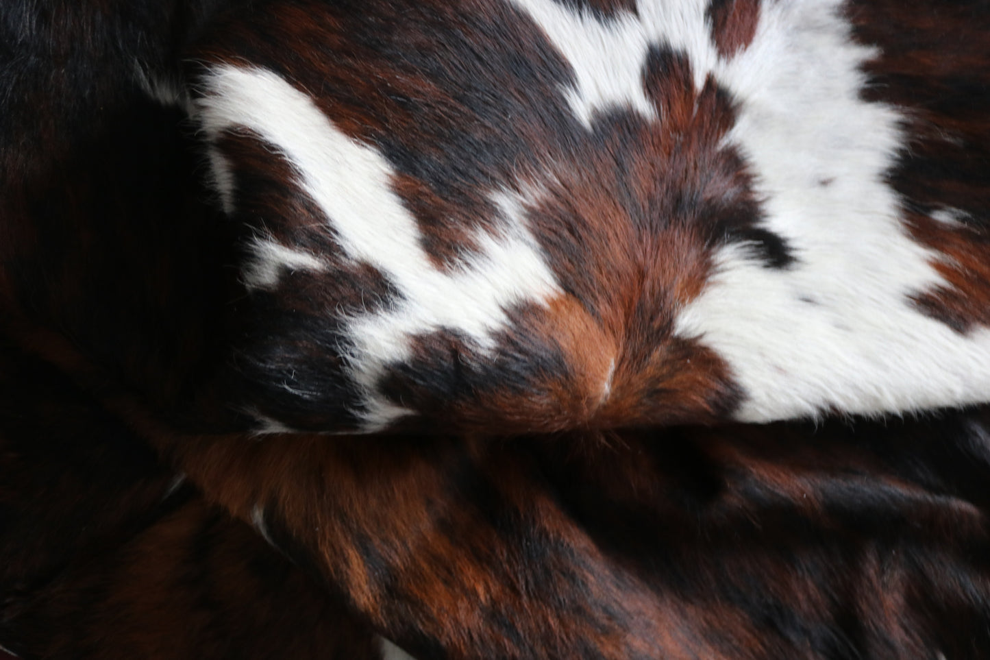 99774 Cowhide rug  TRICOLOR Collection Quebecuir Premium