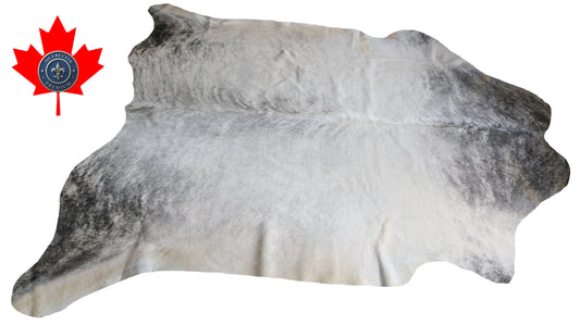 99775 Cowhide rug   Collection Quebecuir Premium SUPER BIG SIZE XXXL