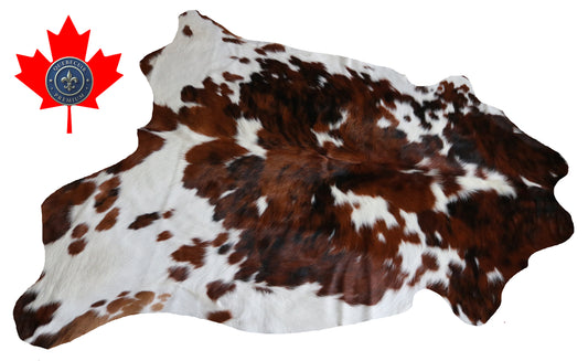 99809 Cowhide rug  TRICOLOR Collection Quebecuir Premium