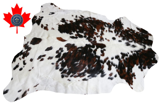 99810 Cowhide rug  TRICOLOR Collection Quebecuir Premium