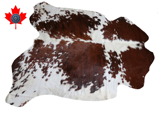 99821 Cowhide rug  TRICOLOR Collection Quebecuir Premium
