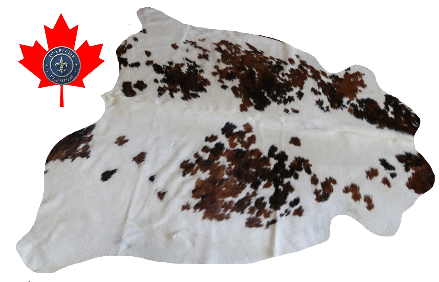 99823 Cowhide rug  TRICOLOR Collection Quebecuir Premium