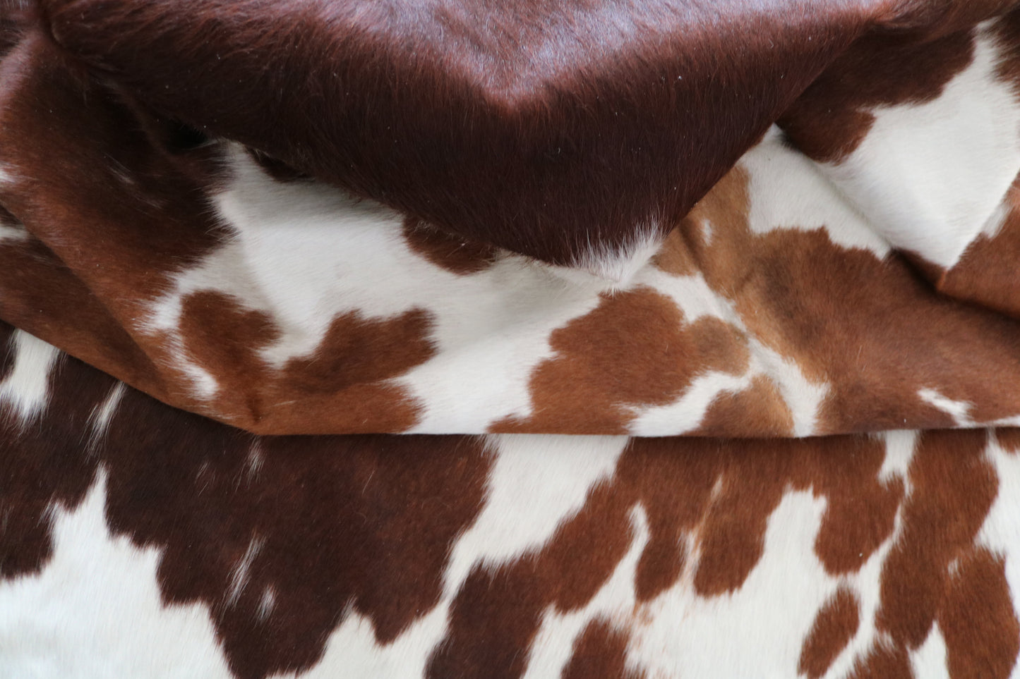 99824 Cowhide rug   Collection Quebecuir Premium SUPER BIG SIZE XXXL