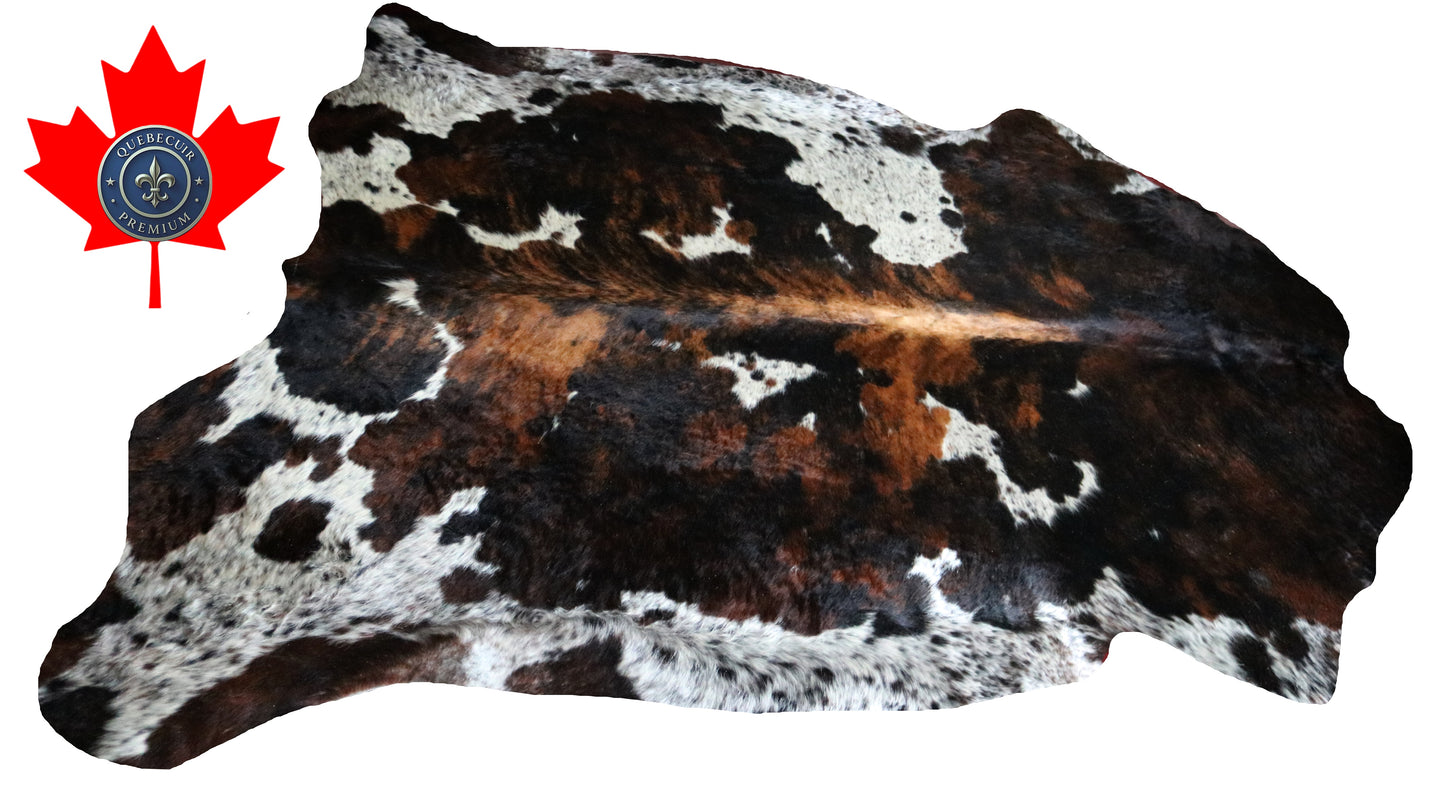 99837 Cowhide rug TRICOLOR    Collection Quebecuir Premium SUPER BIG SIZE XXXL
