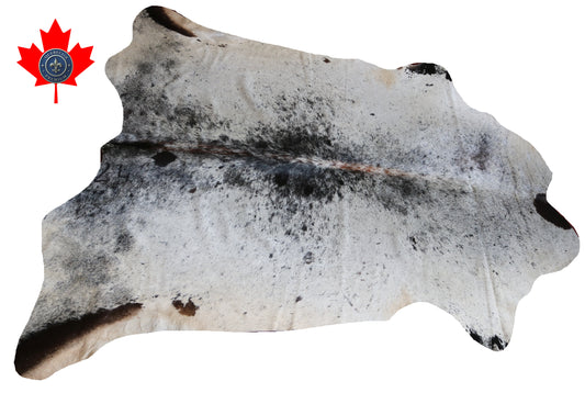 99841 Cowhide rug  TRICOLOR Collection Quebecuir Premium
