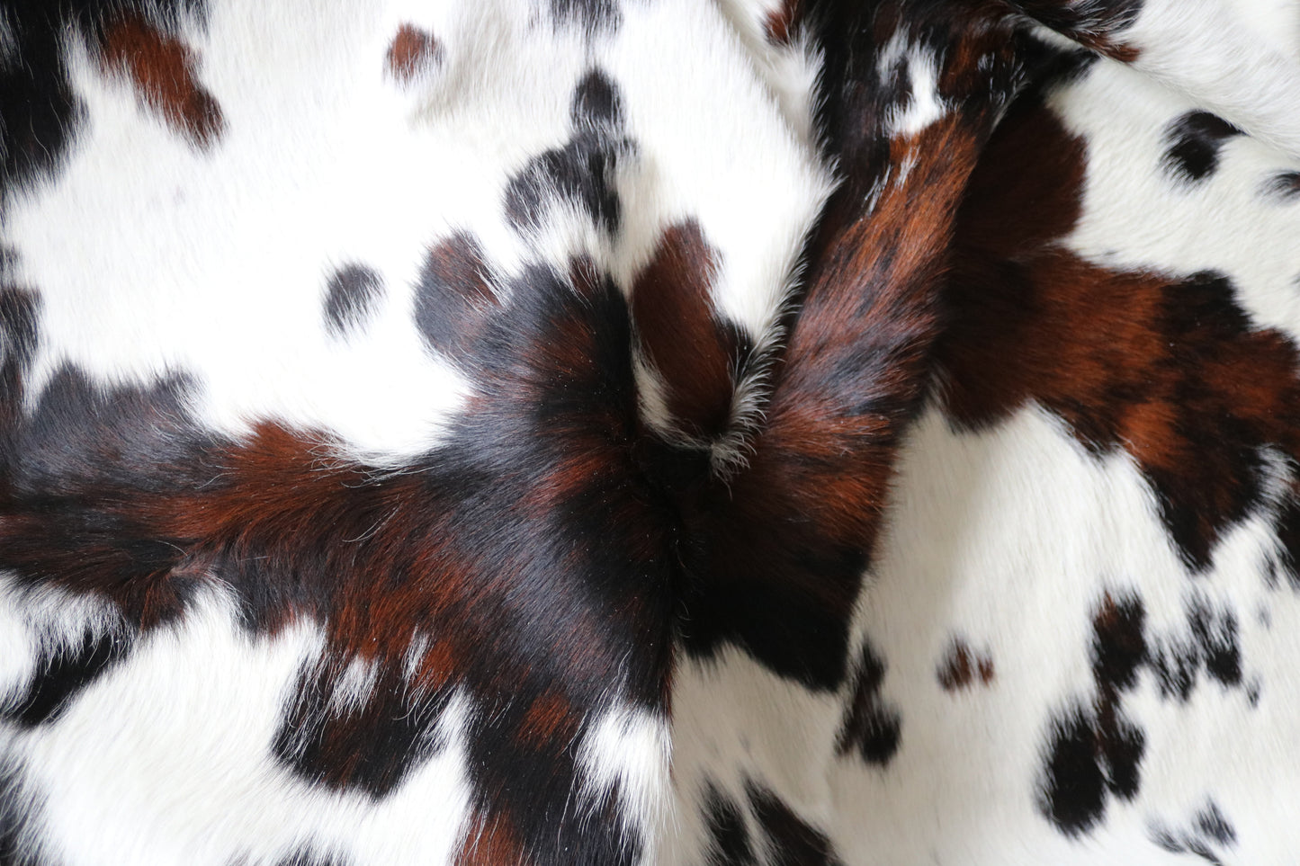 99849 Cowhide rug  TRICOLOR Collection Quebecuir Premium