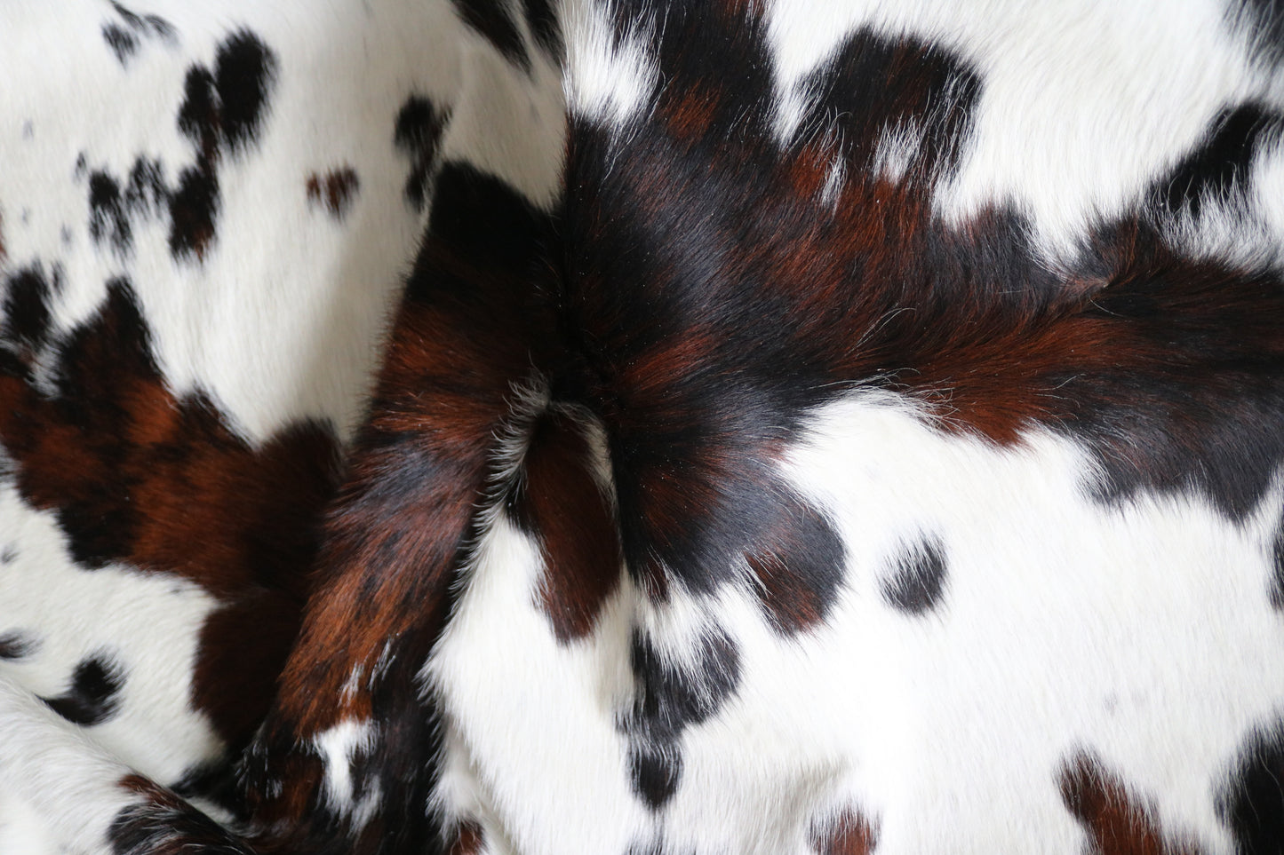 99849 Cowhide rug  TRICOLOR Collection Quebecuir Premium