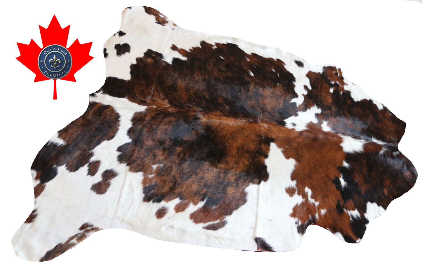 99850 Cowhide rug  TRICOLOR Collection Quebecuir Premium