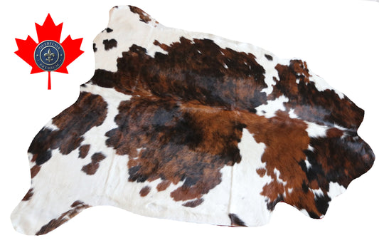 99850 Cowhide rug  TRICOLOR Collection Quebecuir Premium
