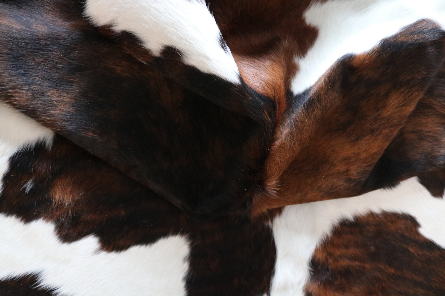 99850 Cowhide rug  TRICOLOR Collection Quebecuir Premium