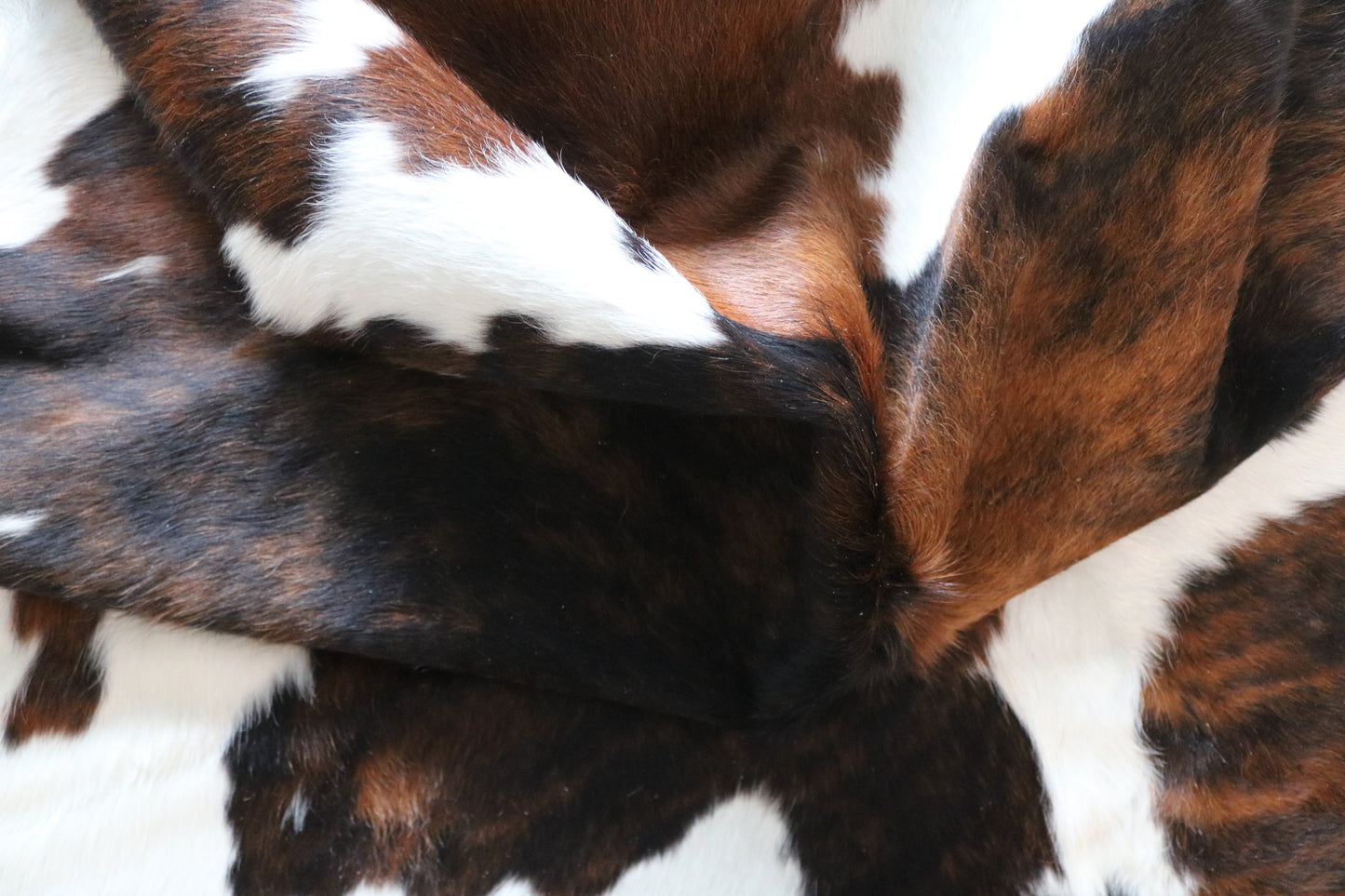 99850 Cowhide rug  TRICOLOR Collection Quebecuir Premium