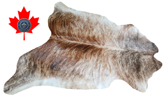 99857 Cowhide rug TRICOLOR    Collection Quebecuir Premium