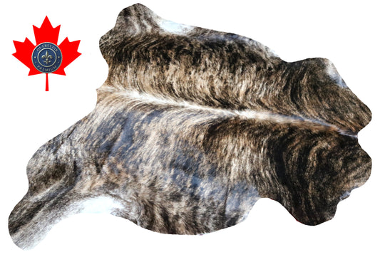 99858 Cowhide rug TRICOLOR    Collection Quebecuir Premium