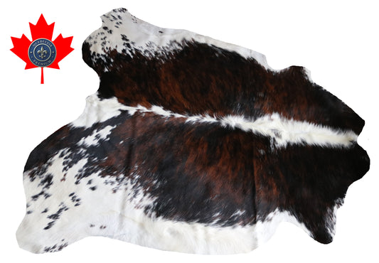99869 Cowhide rug TRICOLOR    Collection Quebecuir Premium