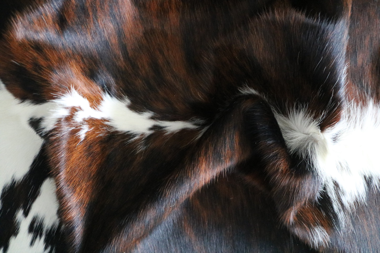 99869 Cowhide rug TRICOLOR    Collection Quebecuir Premium