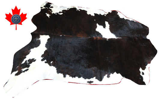 99877 Cowhide rug TRICOLOR    Collection Quebecuir Premium