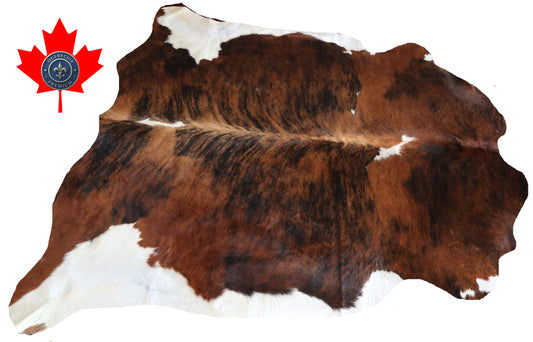 99878 Cowhide rug TRICOLOR    Collection Quebecuir Premium