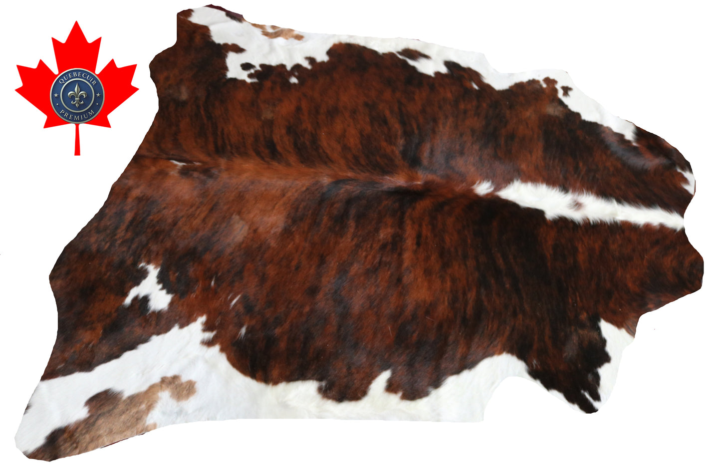 99879 Cowhide rug TRICOLOR    Collection Quebecuir Premium