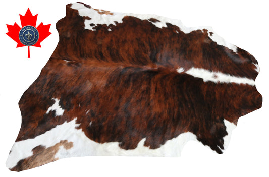 99879 Cowhide rug TRICOLOR    Collection Quebecuir Premium