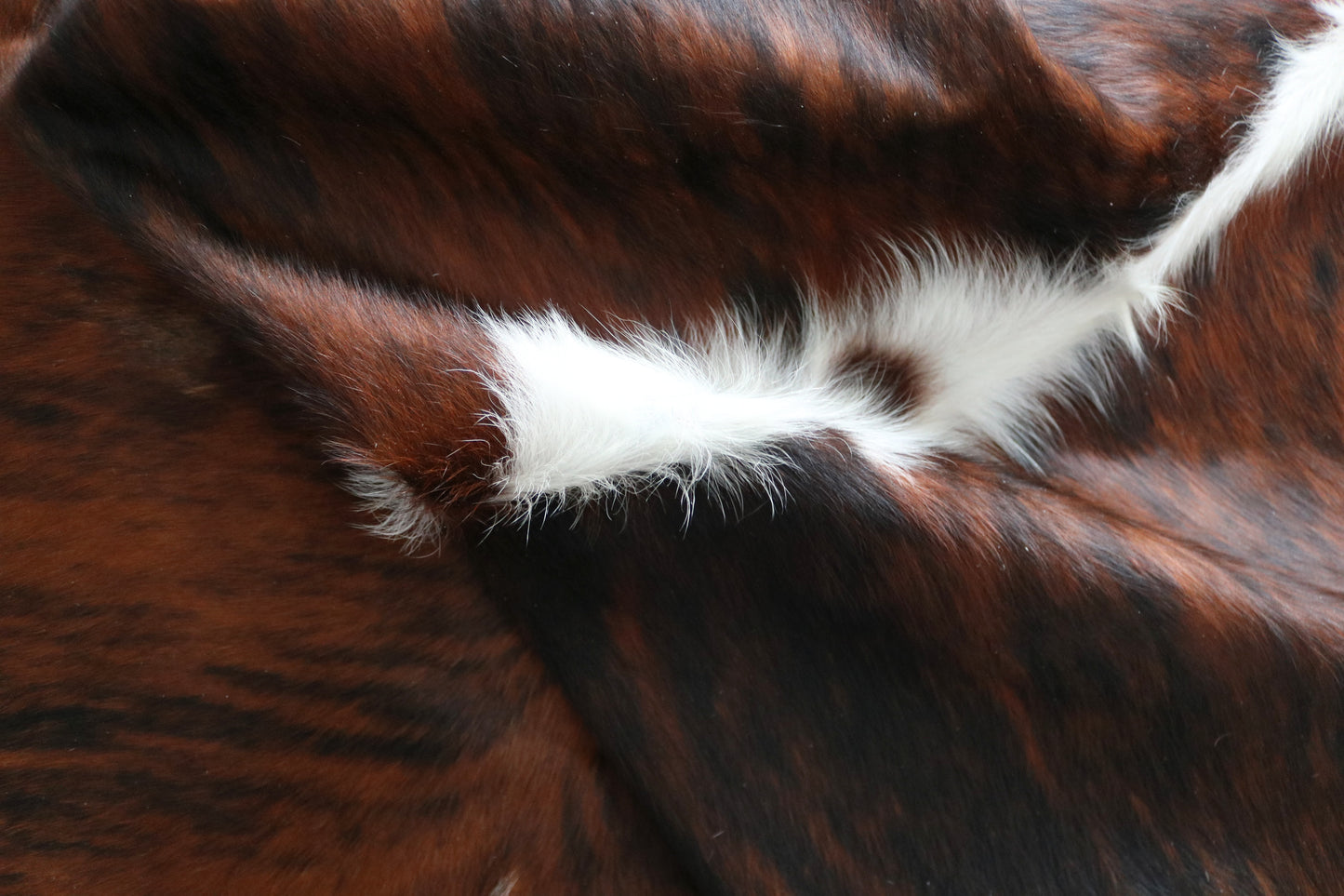 99879 Cowhide rug TRICOLOR    Collection Quebecuir Premium