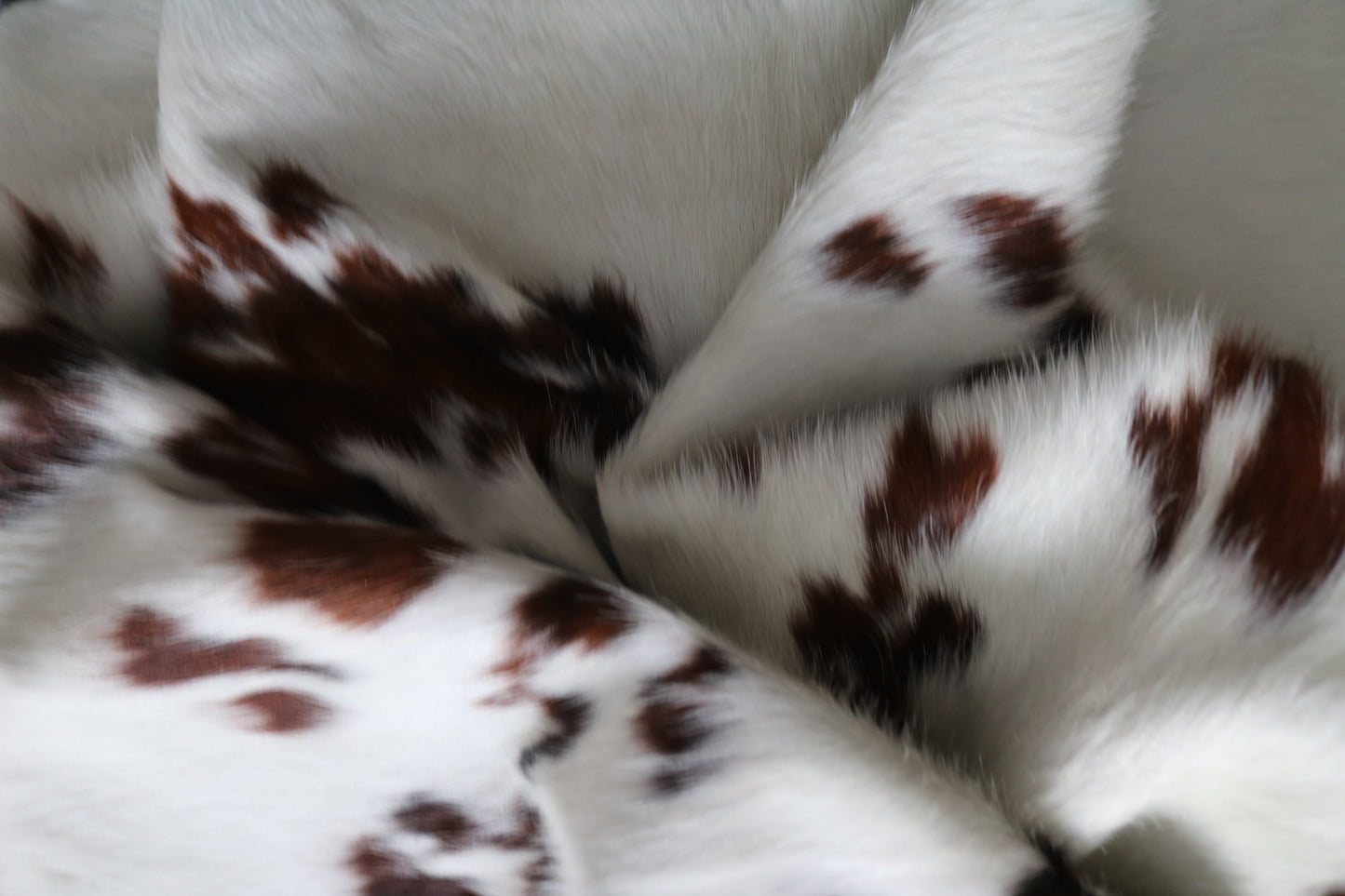 99881 Cowhide rug TRICOLOR    Collection Quebecuir Premium